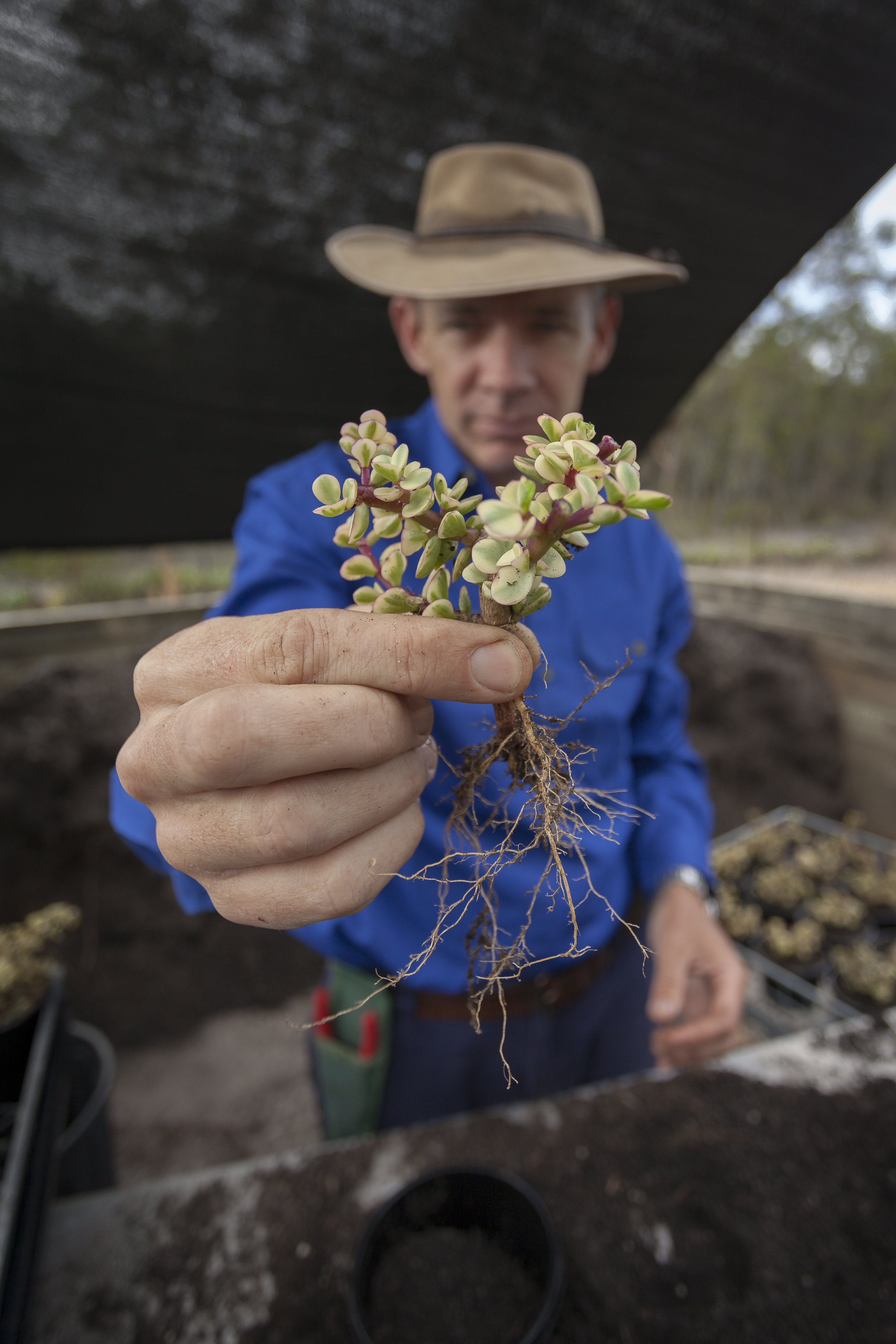 Picture of Pete holding a succulent branch